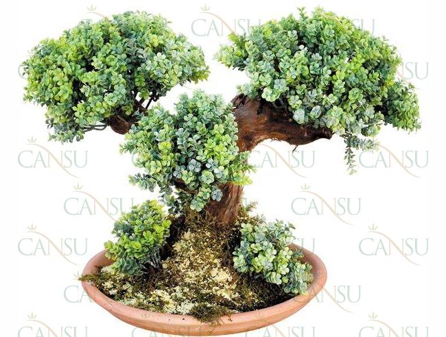 Yapay Bonsai, Model No: CT-02-129